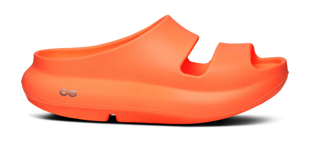 Women's OOyea PLUS - Sunburst - Image 2